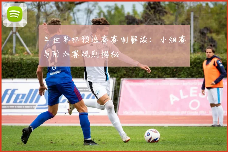 年世界杯预选赛赛制解读：小组赛与附加赛规则揭秘