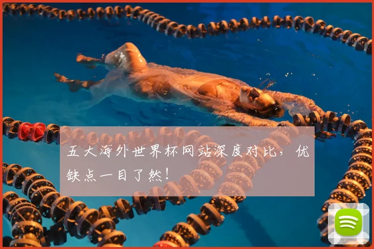 五大海外世界杯网站深度对比，优缺点一目了然！