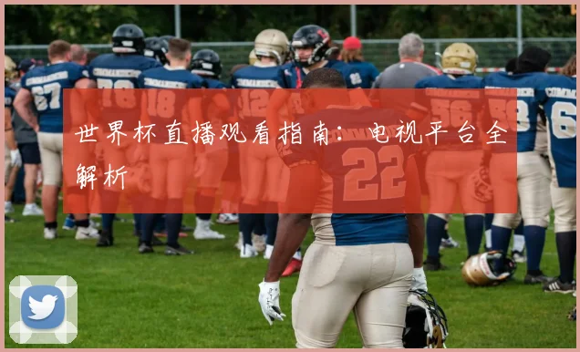世界杯直播观看指南：电视平台全解析