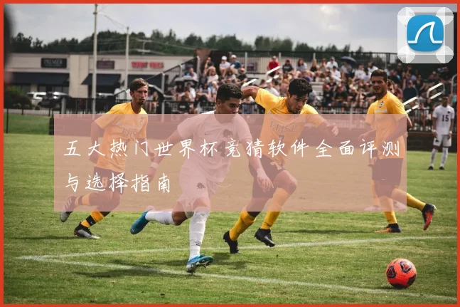 五大热门世界杯竞猜软件全面评测与选择指南