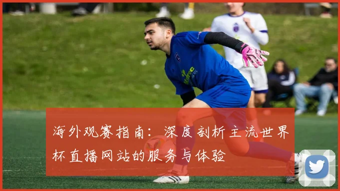 海外观赛指南：深度剖析主流世界杯直播网站的服务与体验