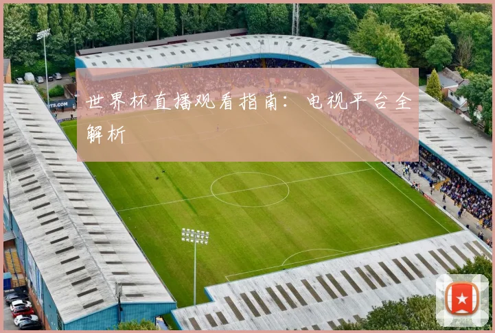 世界杯直播观看指南：电视平台全解析