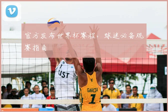 官方发布世界杯赛程，球迷必备观赛指南