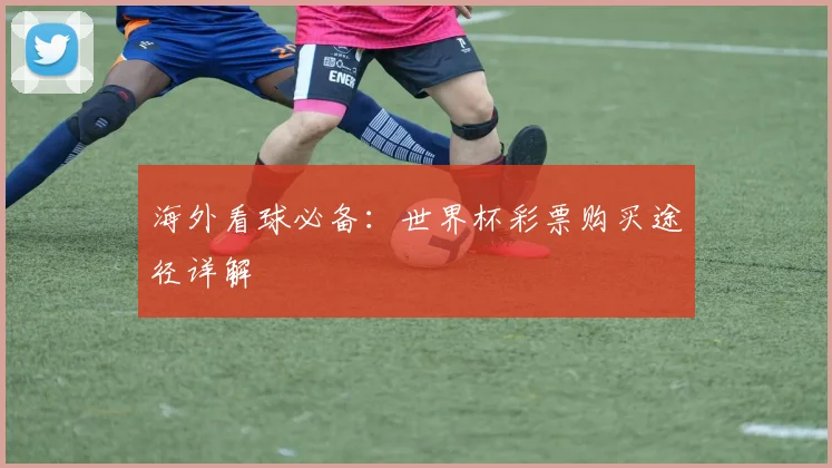 海外看球必备：世界杯彩票购买途径详解