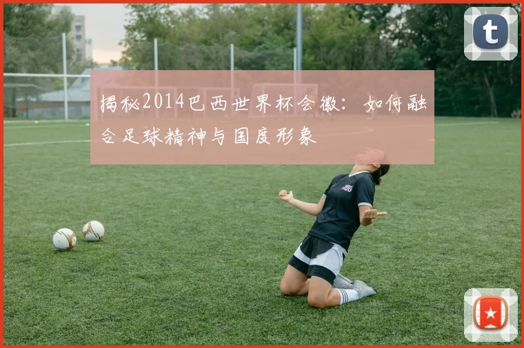 揭秘2014巴西世界杯会徽：如何融合足球精神与国度形象