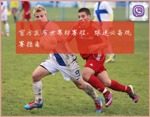 官方发布世界杯赛程，球迷必备观赛指南