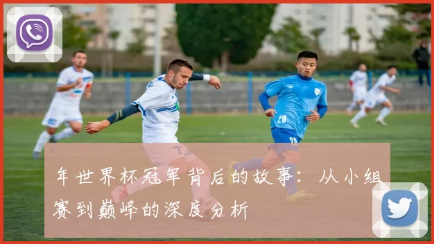年世界杯冠军背后的故事:从小组赛到巅峰的深度分析