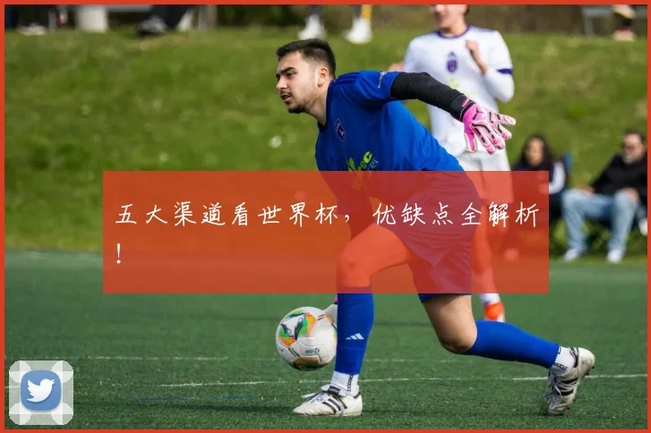 五大渠道看世界杯，优缺点全解析！