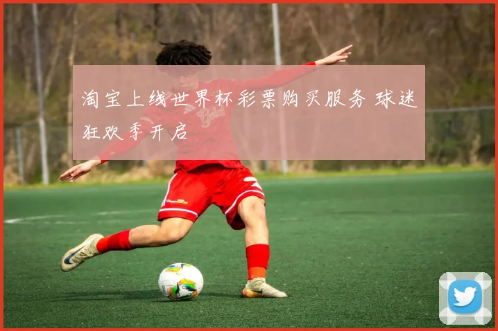 淘宝上线世界杯彩票购买服务 球迷狂欢季开启