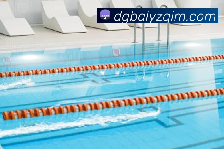 emc体育官网首页发展历程